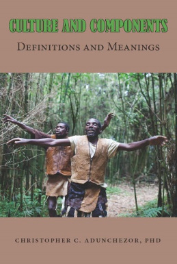 CULTURE AND COMPONENTS DEFINITIONS AND MEANINGS